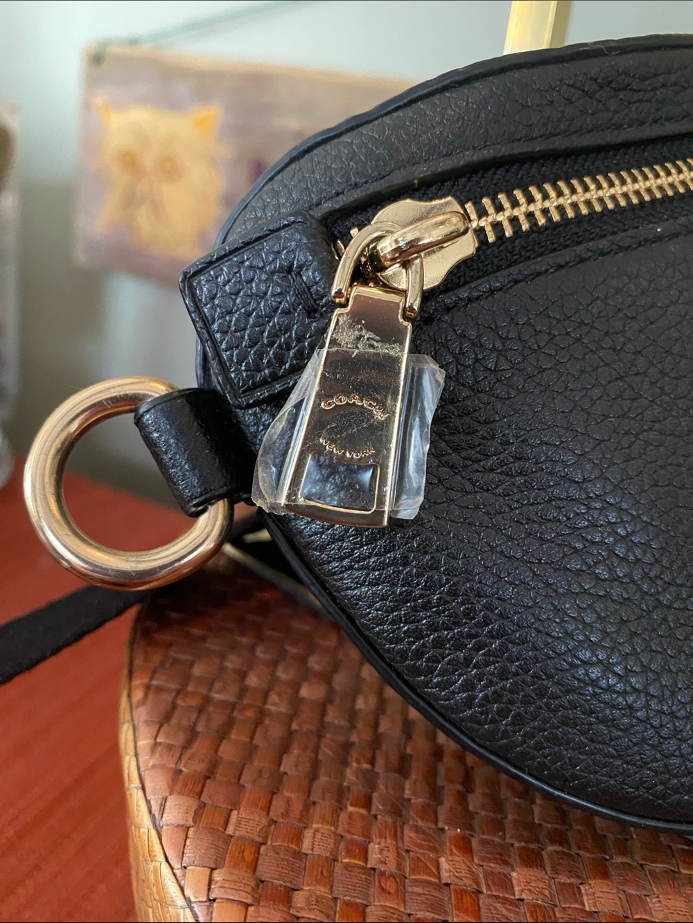 Coach Black Pebbled Leather Bethany Belt Sling Bag with Gold Hardware - Picture 3 of 10
